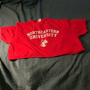 Northeastern University crop t shirt